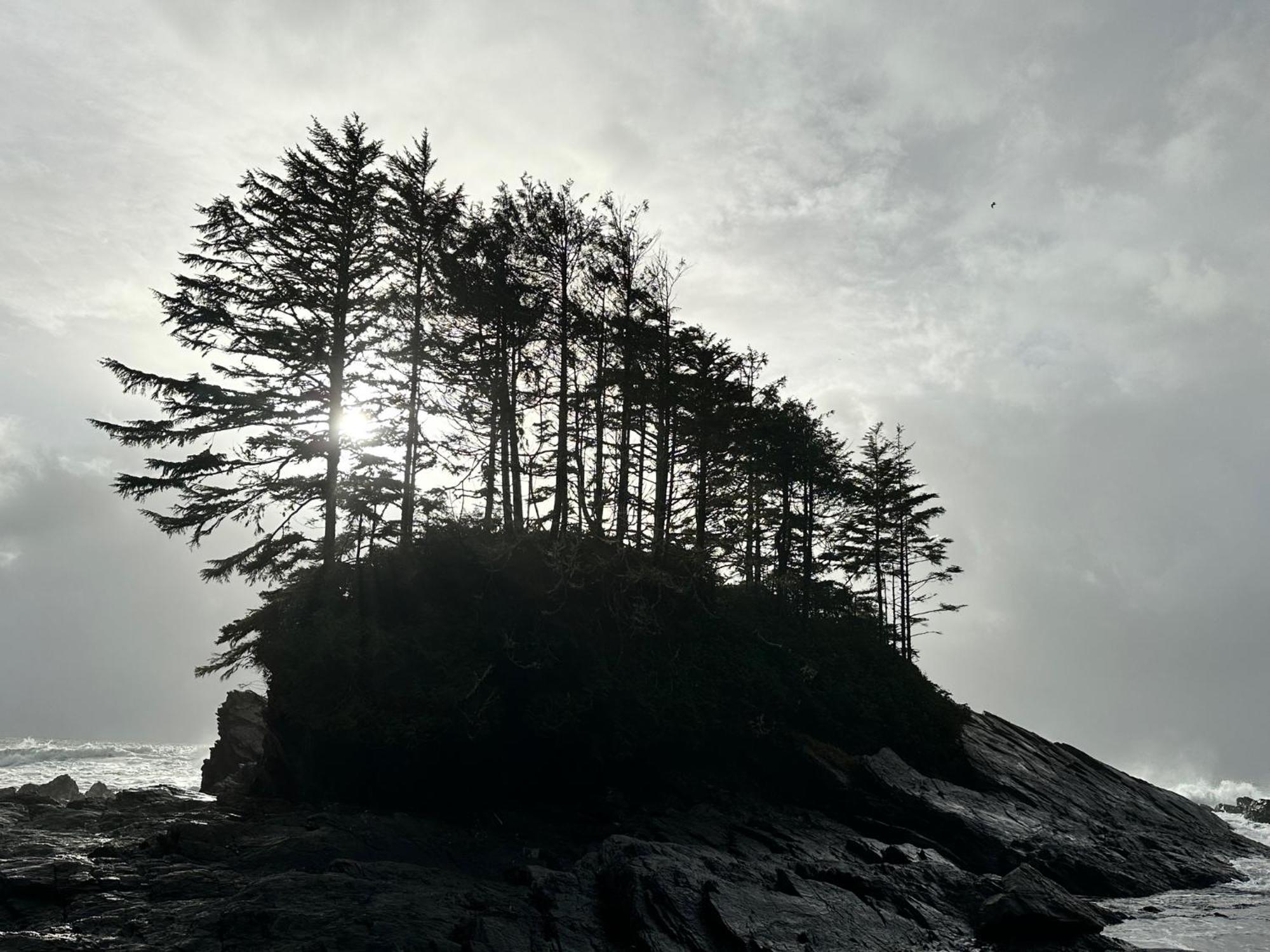 Bjorn Holm Villa Port Renfrew Exterior foto